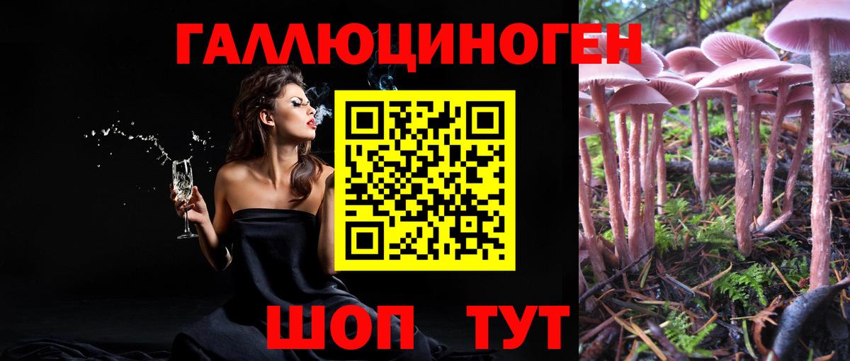 Псилоцибиновые грибы Cubensis  Вход с VPN  Щёкино 
